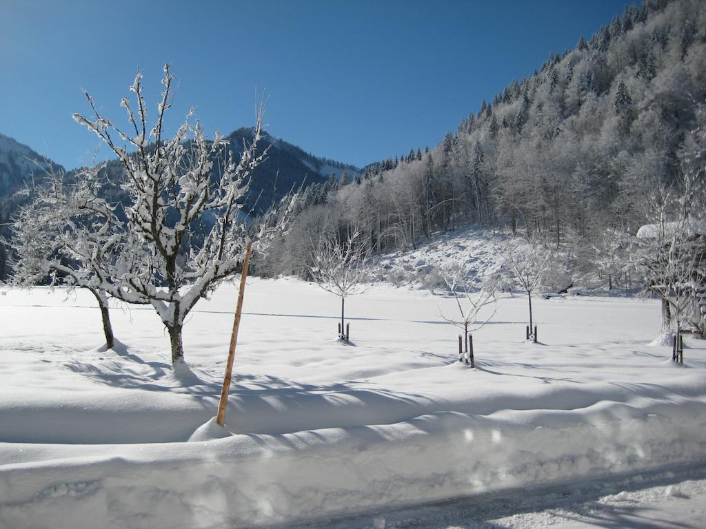 Biobauernhof Hauserbauer Hintersee Extérieur photo