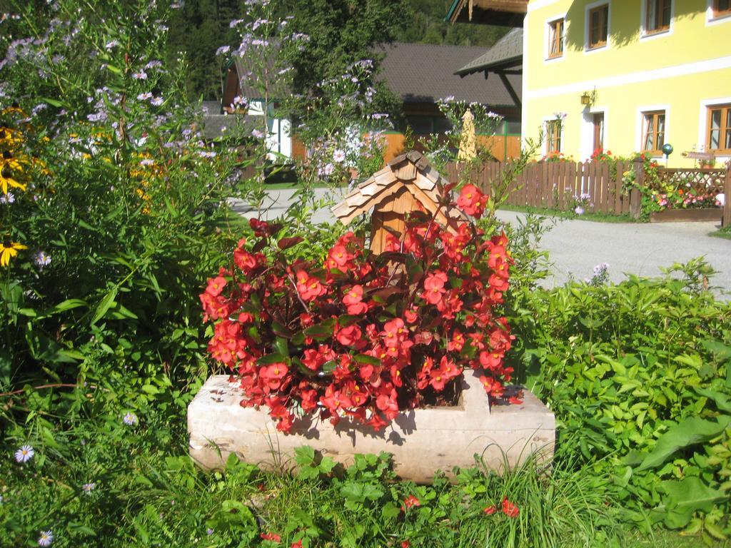 Biobauernhof Hauserbauer Hintersee Extérieur photo