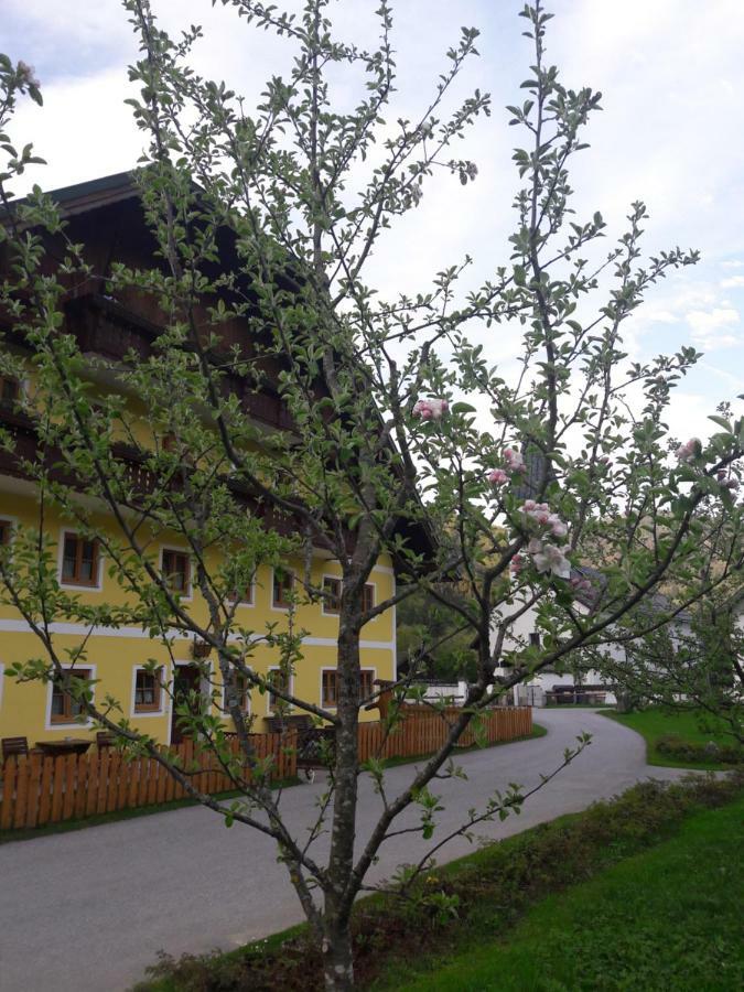 Biobauernhof Hauserbauer Hintersee Extérieur photo