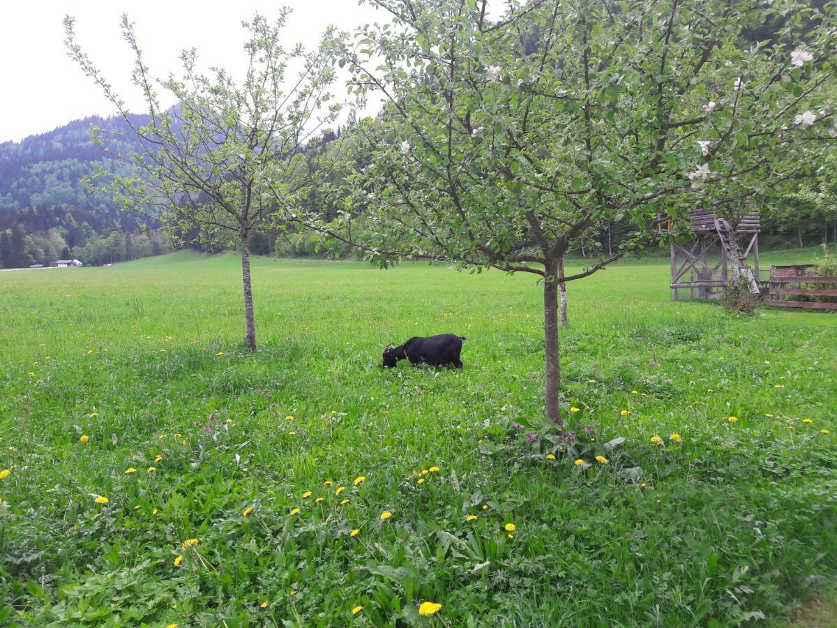 Biobauernhof Hauserbauer Hintersee Extérieur photo
