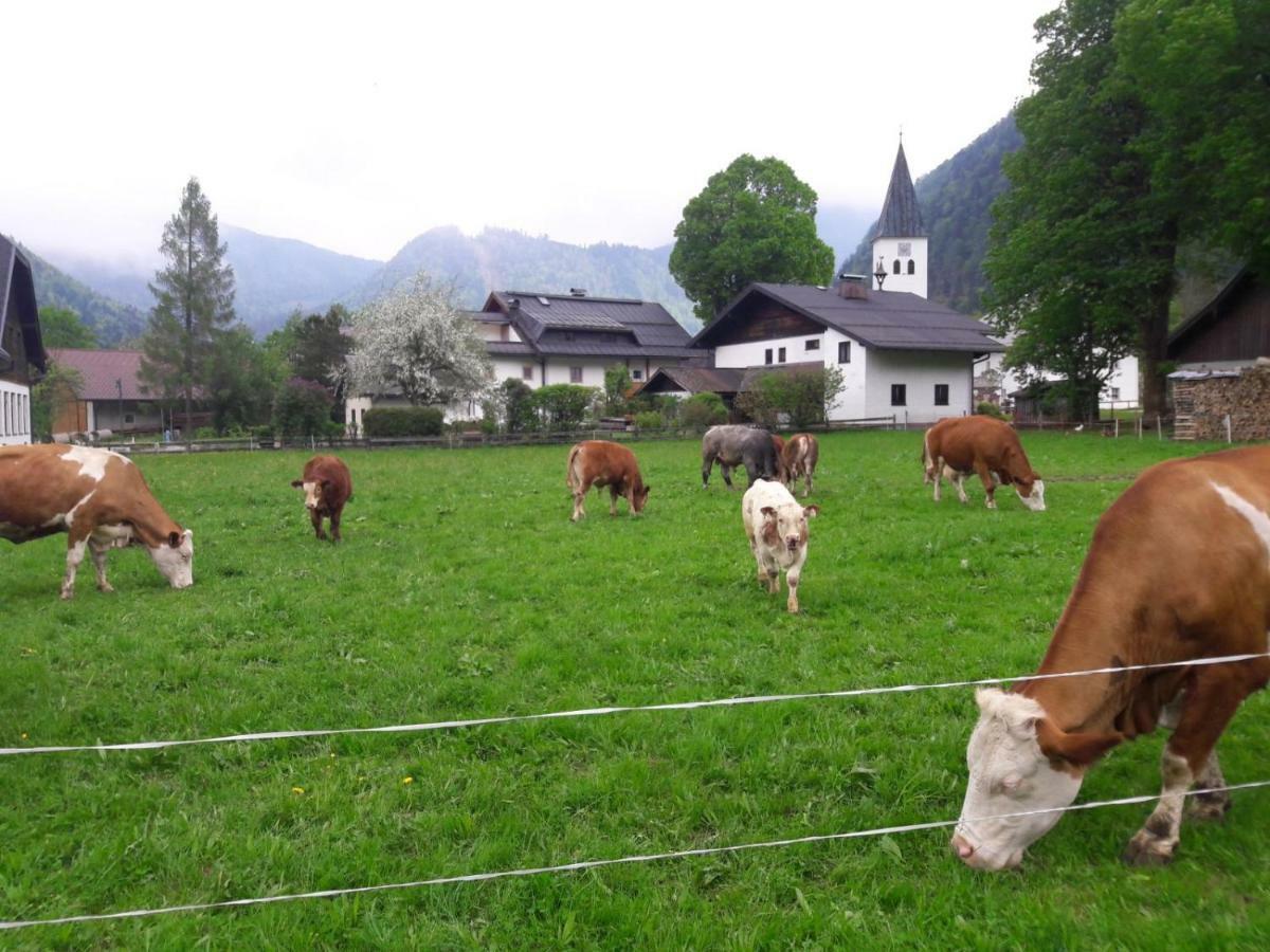 Biobauernhof Hauserbauer Hintersee Extérieur photo