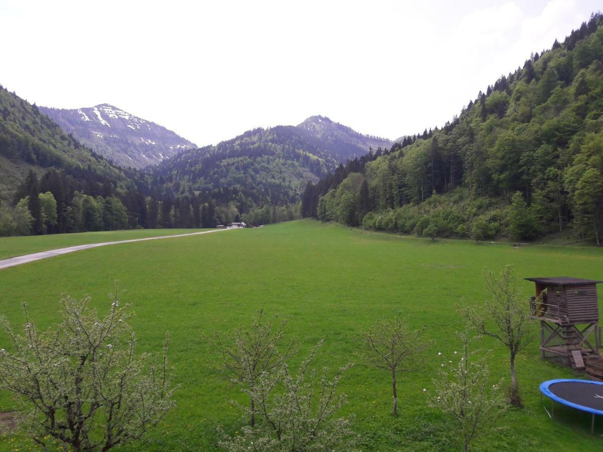 Biobauernhof Hauserbauer Hintersee Extérieur photo