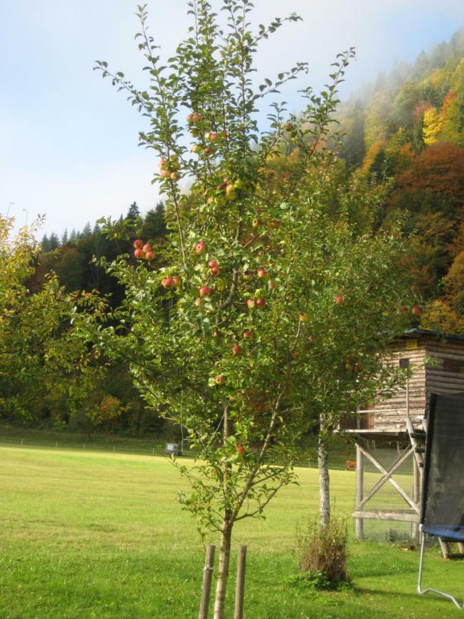 Biobauernhof Hauserbauer Hintersee Extérieur photo
