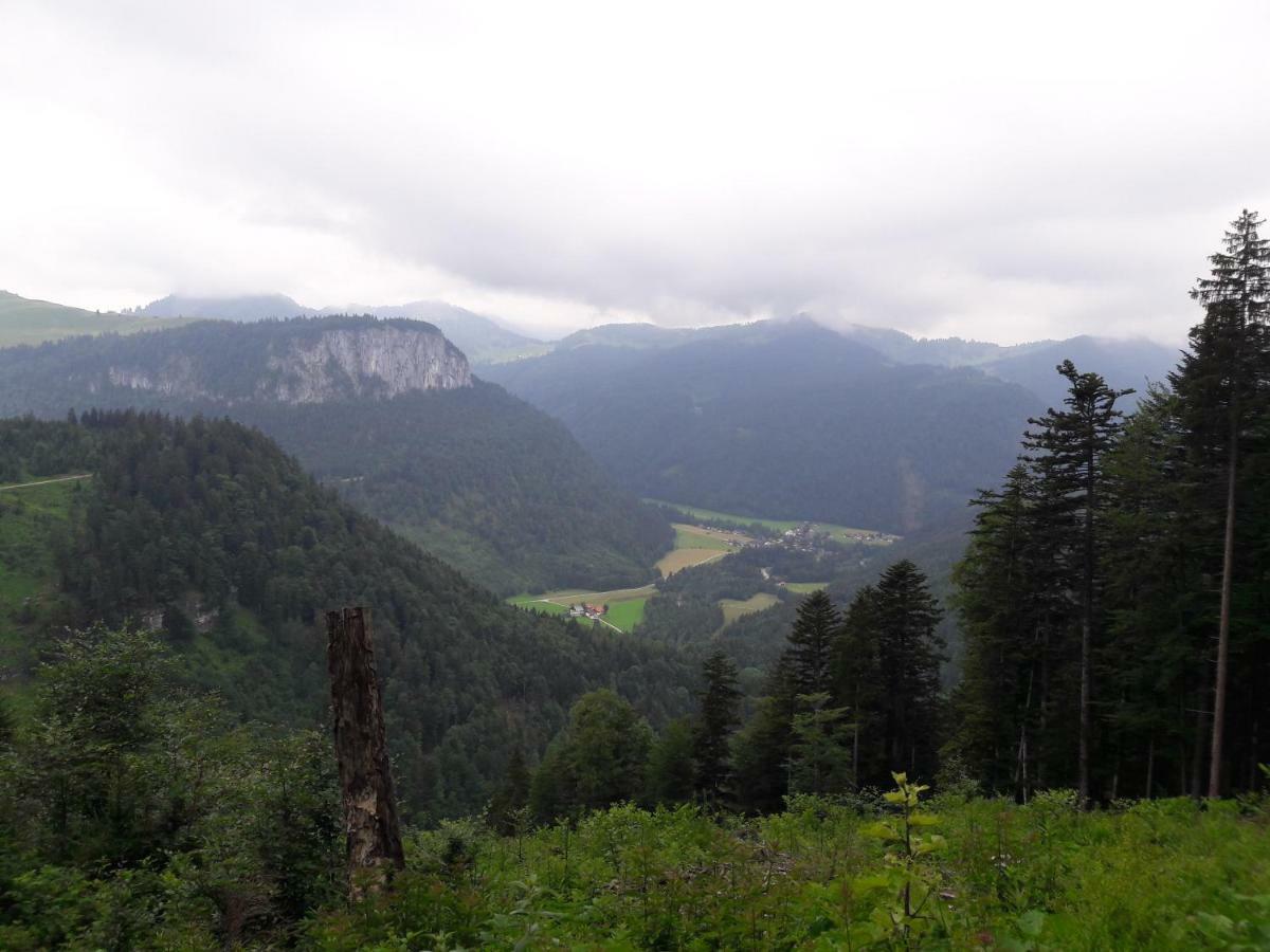 Biobauernhof Hauserbauer Hintersee Extérieur photo